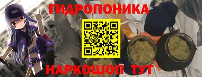 кокс Бийск