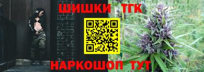 индика Беслан