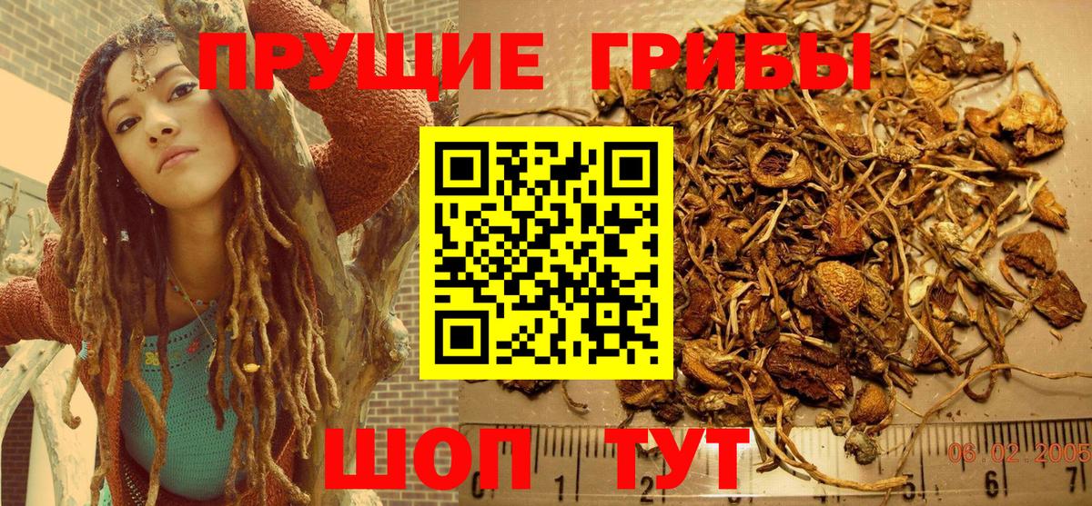 Псилоцибиновые грибы MAGIC MUSHROOMS Ишимбай